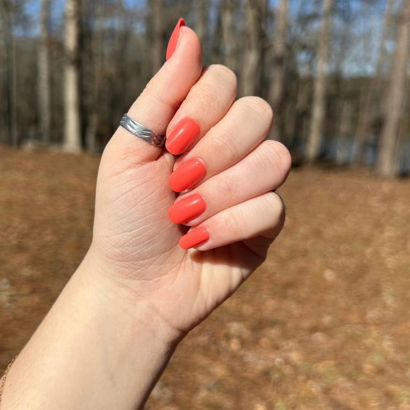 picture of Perfect Pinwheel | Short | Round - Tab Press-On