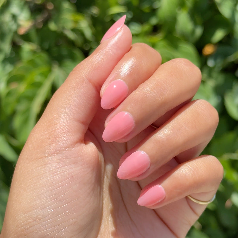 picture of Pink Pineapple Gloss