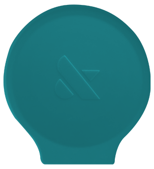 Winter 2020 Poppy Winter 2020 Poppy  singleton_gift