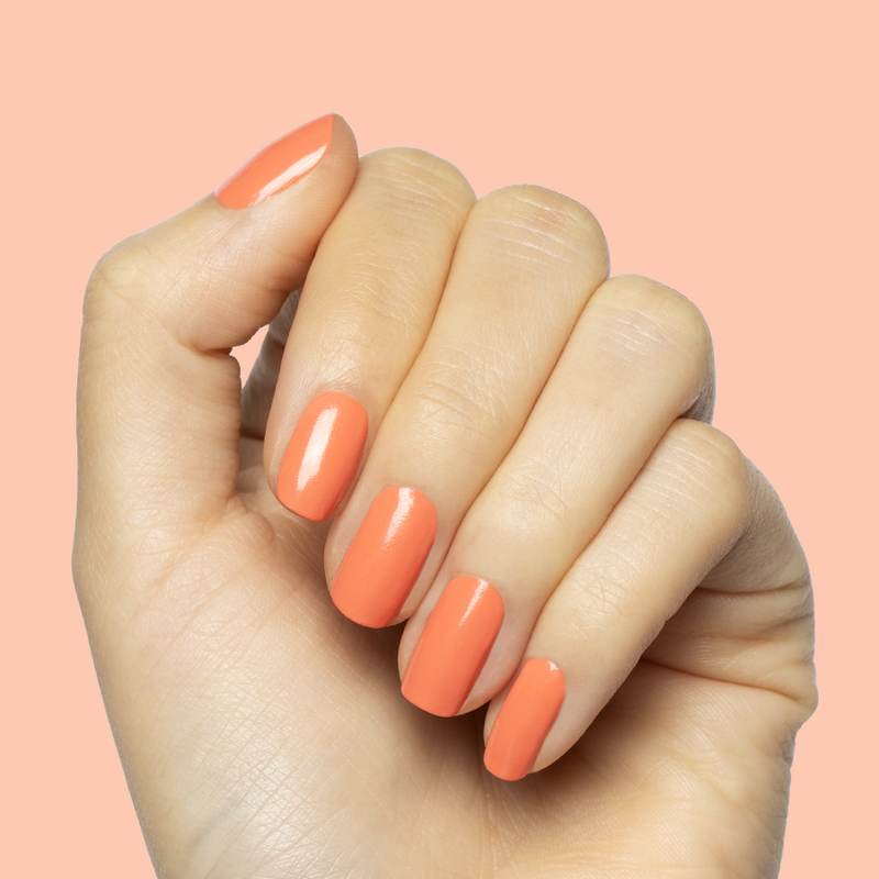 Ride into the Sunset a Creme Oranges  Ride into the Sunset