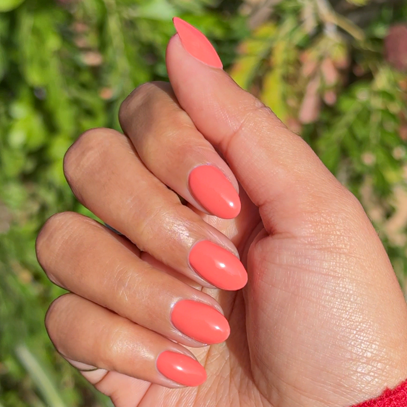 picture of Ride into the Sunset