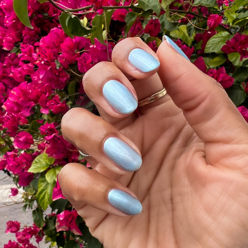 picture of Same Day Next Year