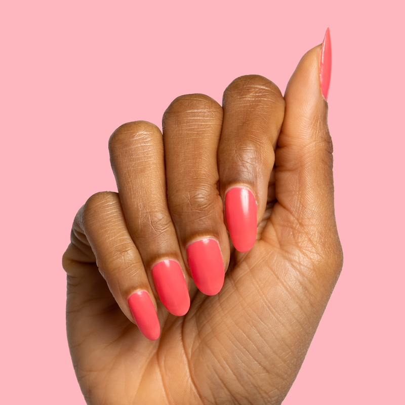 Flamingo a Iridescent Pinks  Flamingo