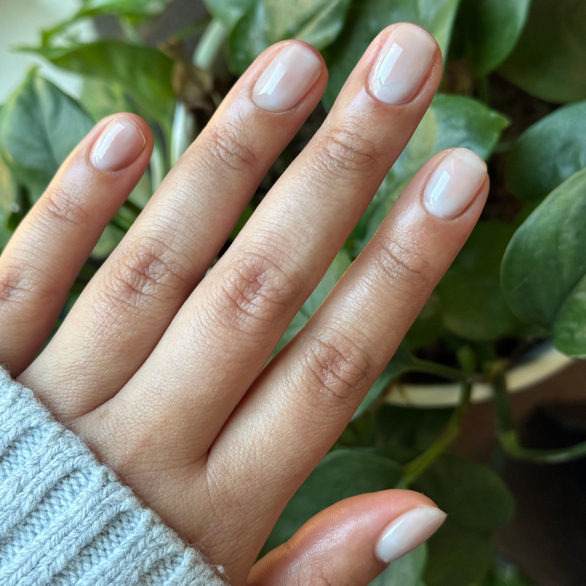 Sky Blue Filter - Builder Gel on natural nails with a subtle sheer pastel blue manicure in soft natural light