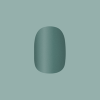 picture of Still Life of Flowers - Tab Press-On | Extra Short | Round