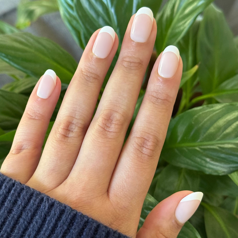 picture of Timeless French - Press-On | Short | Round