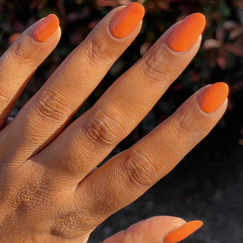 picture of Bounce Back