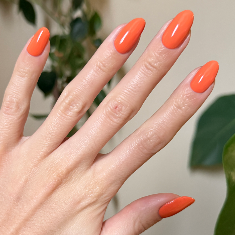 picture of Bounce Back