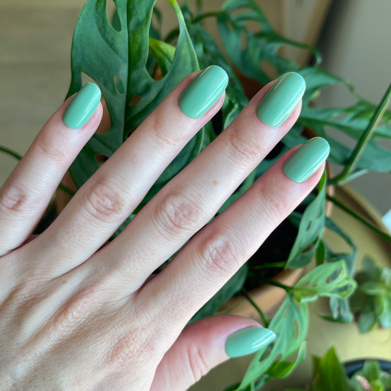 picture of Cucumber Sandwich - Press-On | Short | Round