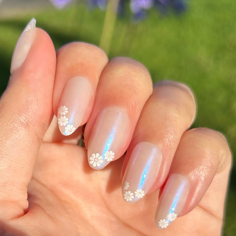 picture of Daisy French - Press-On | Medium | Almond