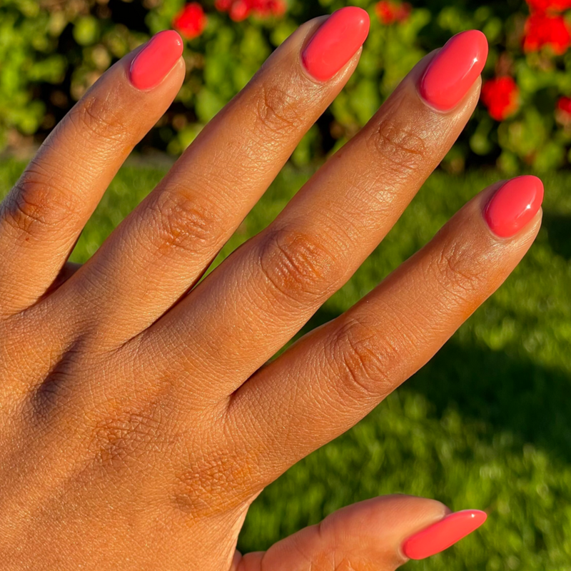 picture of Field Day - Gel