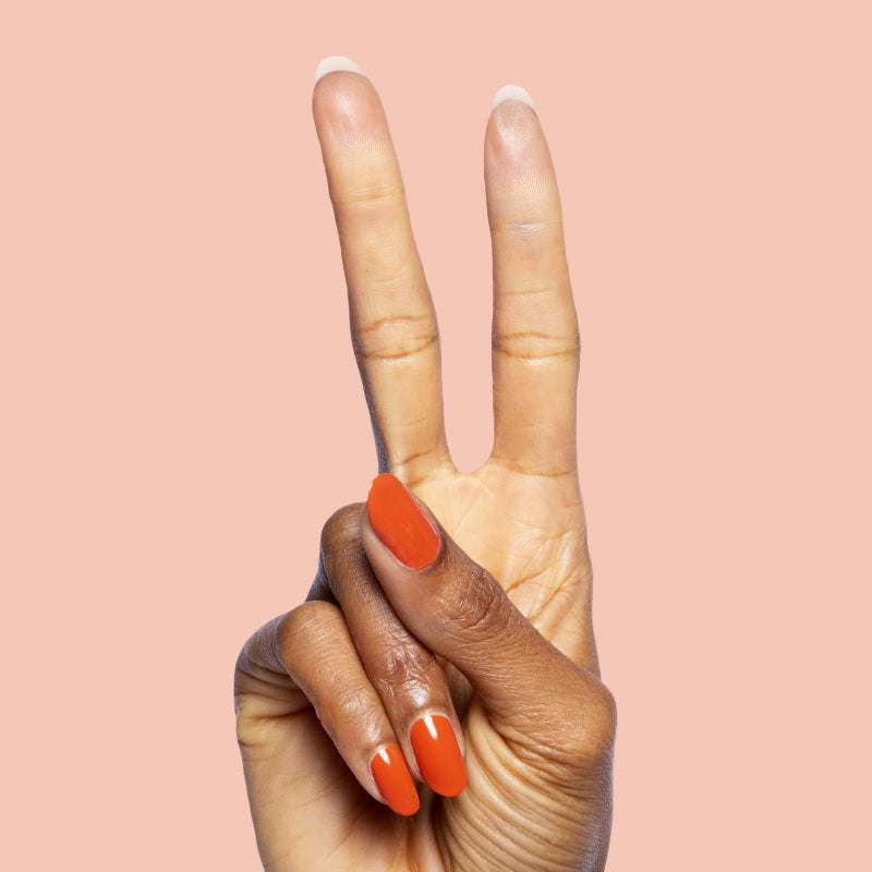 Flowerpot a Creme Oranges  Flowerpot