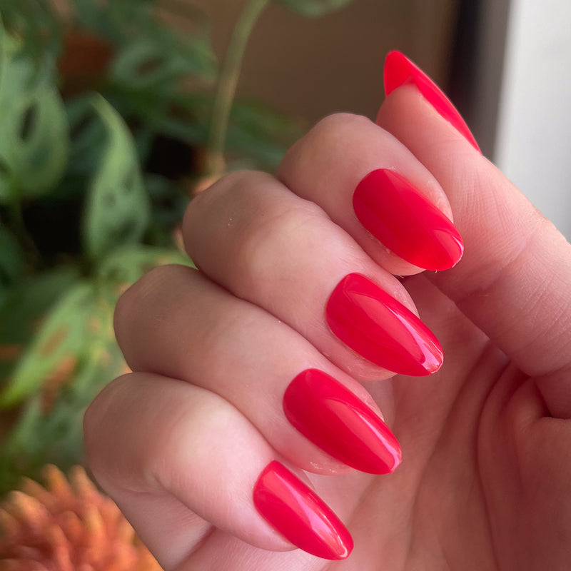 picture of Hibiscus - Press-On | Medium | Oval