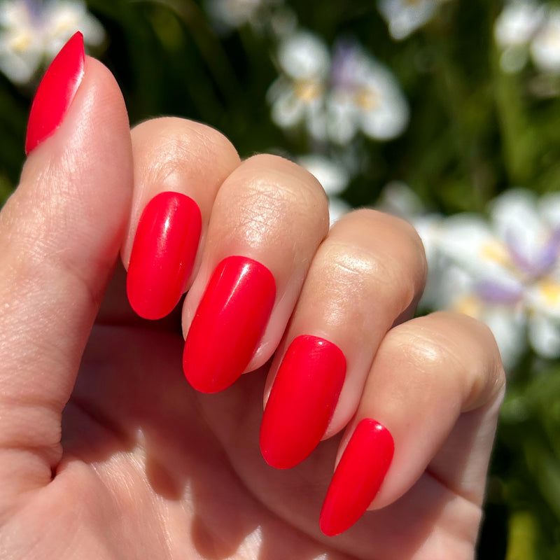 picture of Hibiscus - Press-On | Medium | Oval