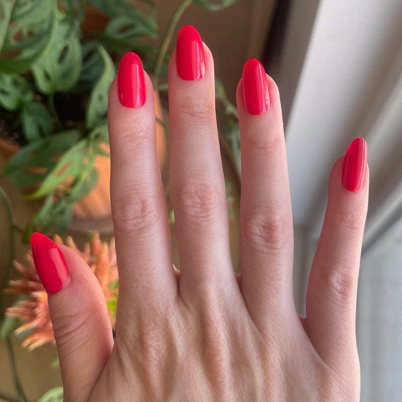 picture of Hibiscus - Press-On | Medium | Oval