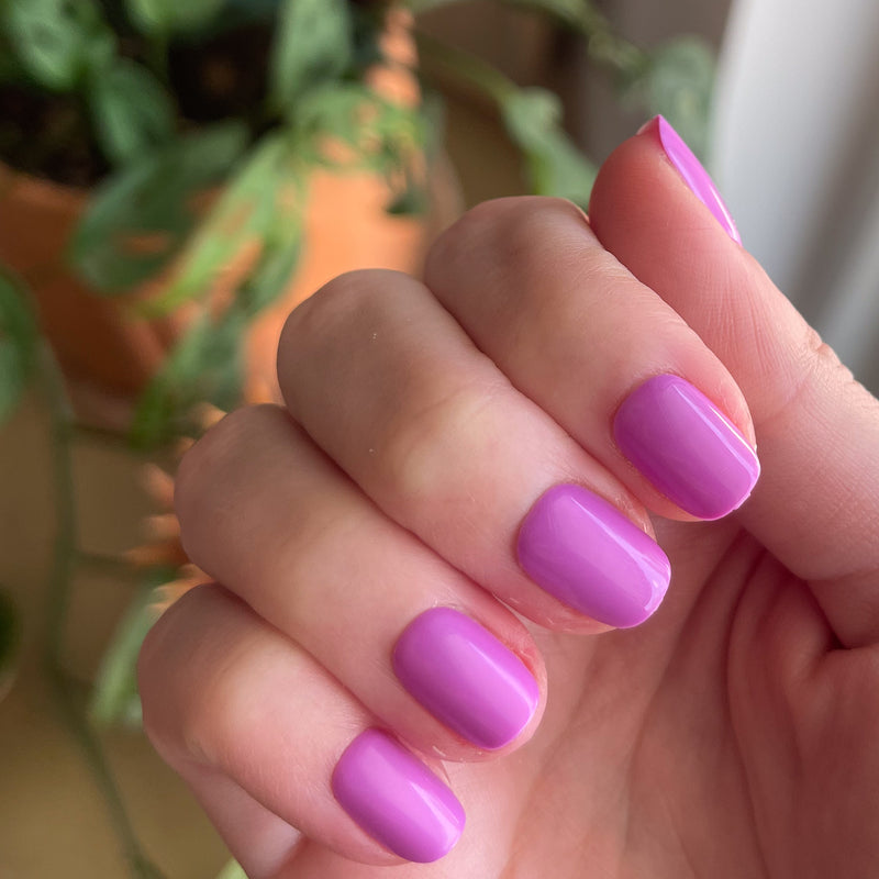 picture of Jam, Please - Press-On | Extra Short | Squoval