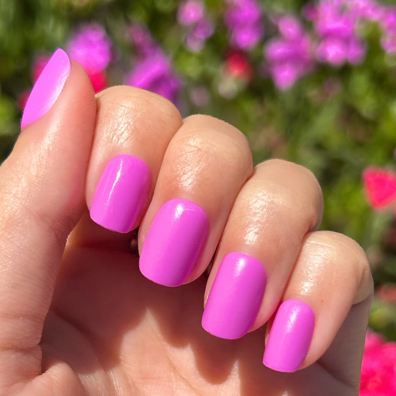 picture of Jam, Please - Press-On | Extra Short | Squoval