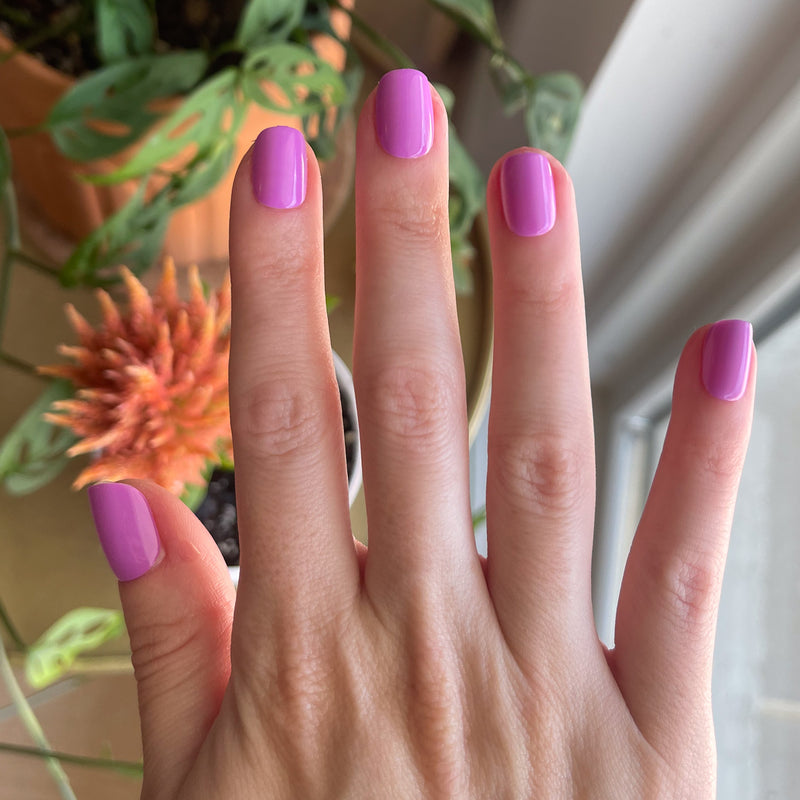 picture of Jam, Please - Press-On | Extra Short | Squoval