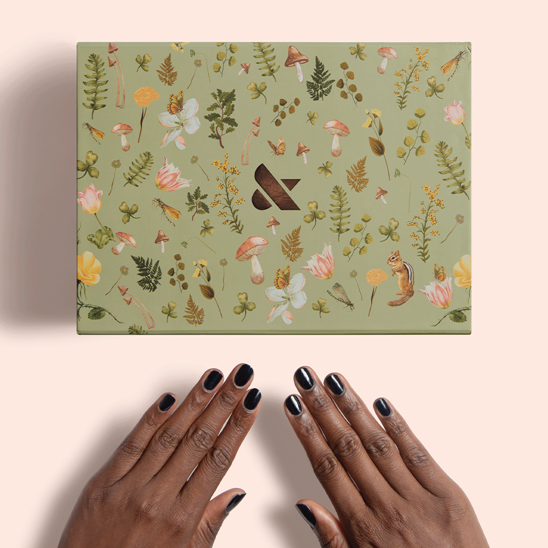 The Mani System - Bonus Fall