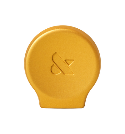 Mini Gold Poppy Mini Gold Poppy  care