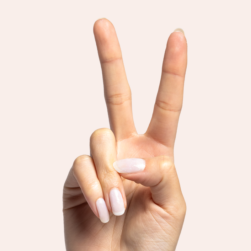 Office Party a Iridescent Neutrals  Office Party