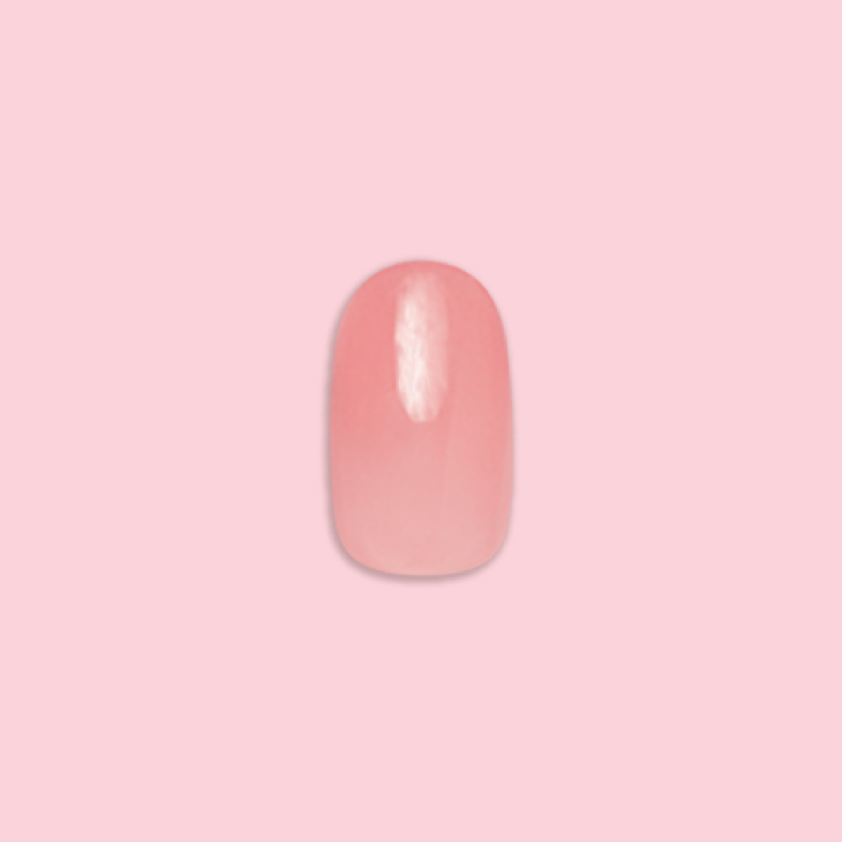Pink Jelly - Press-On | Short | Round showing single sheer pink jelly false nail on pink background