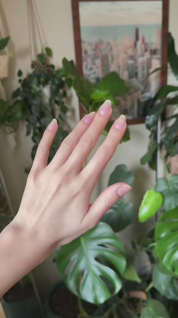 Builder Gel Essential Mani System