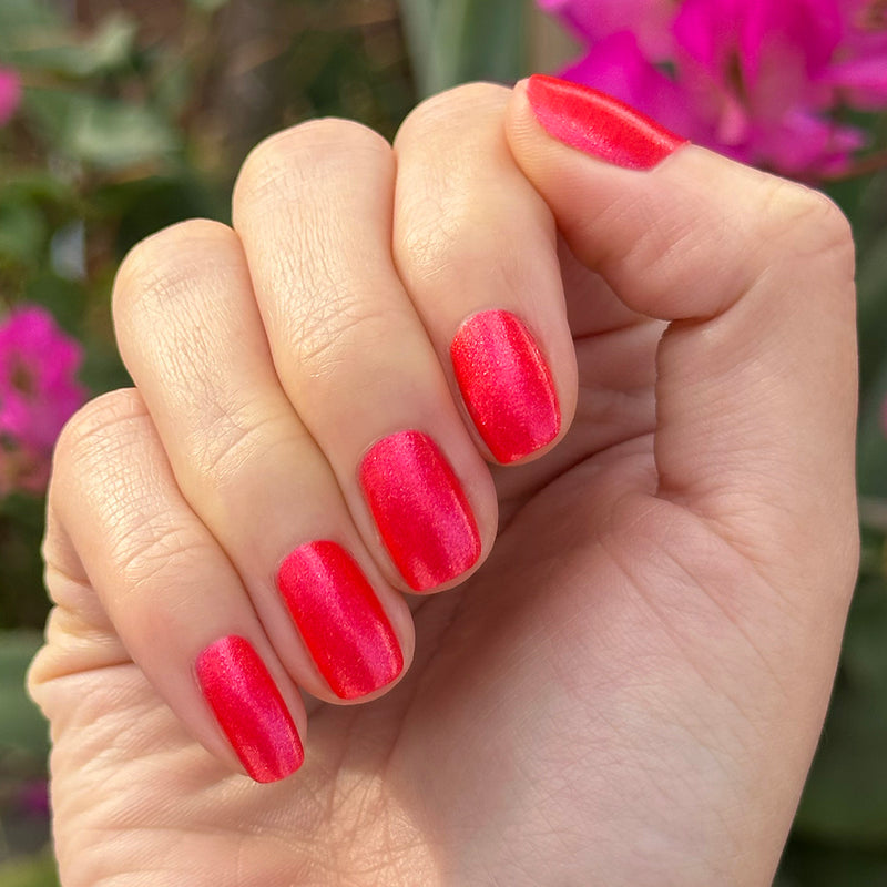 picture of Rodeo Queen