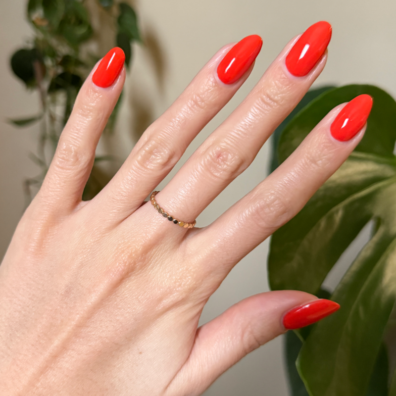 picture of Snapdragon