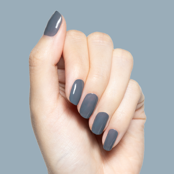 Torrential a Creme Greys  Torrential