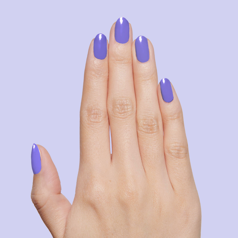 Bold & Unshaken a Creme Purples  Bold & Unshaken