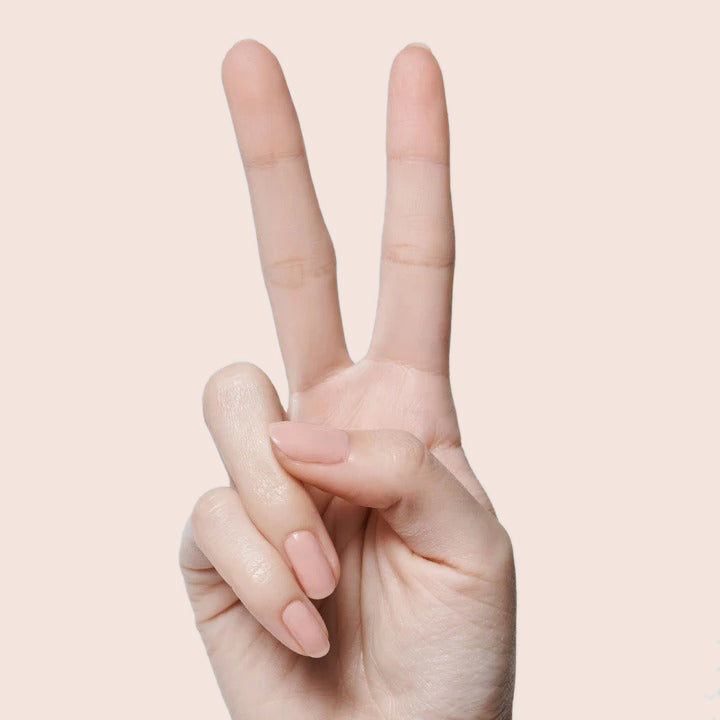 CHM a Pastels Neutrals  CHM