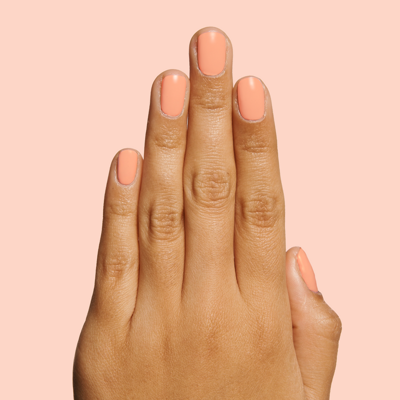 Wild & Free fourth image  Wild & Free