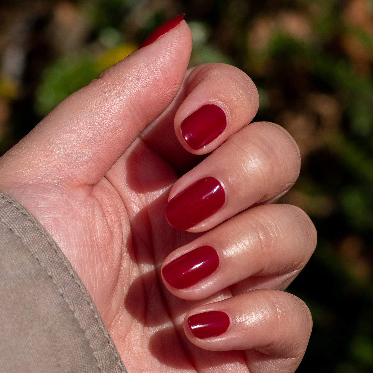 Hand showing freshly polished nails in deep bordeaux shade using SC nail polish with natural outdoor background