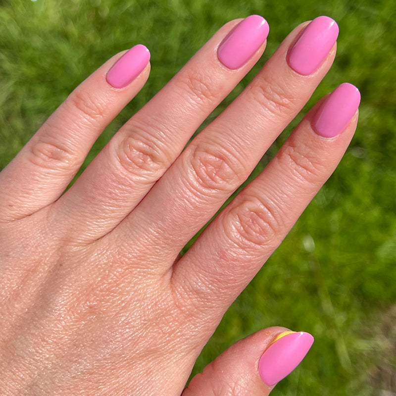 Grateful & Kind | Round | Short second image