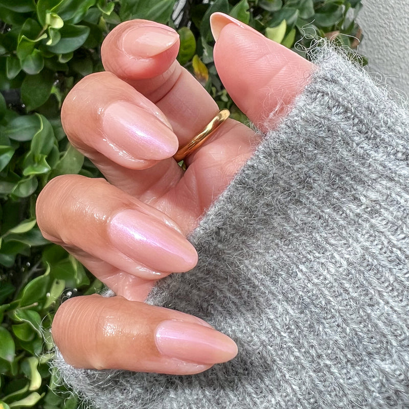 picture of Sandy Scallop