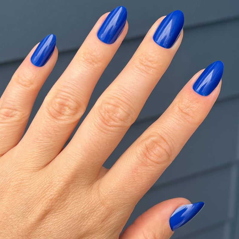 picture of Blueberry Muffin | Almond | Medium