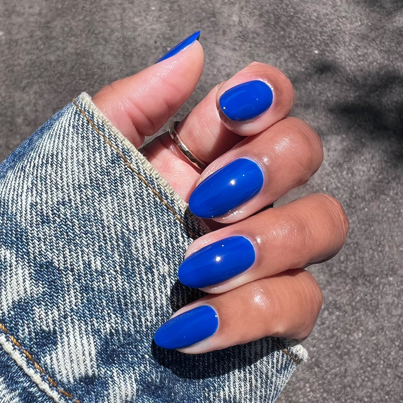 picture of Blueberry Muffin