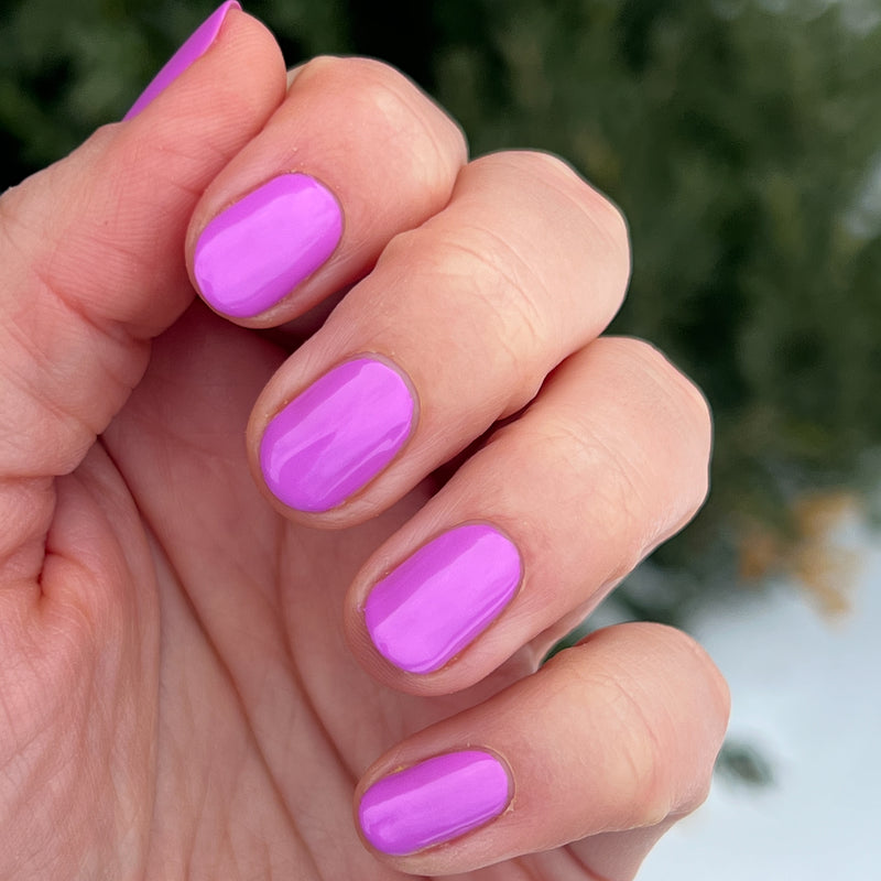 picture of Jam, Please