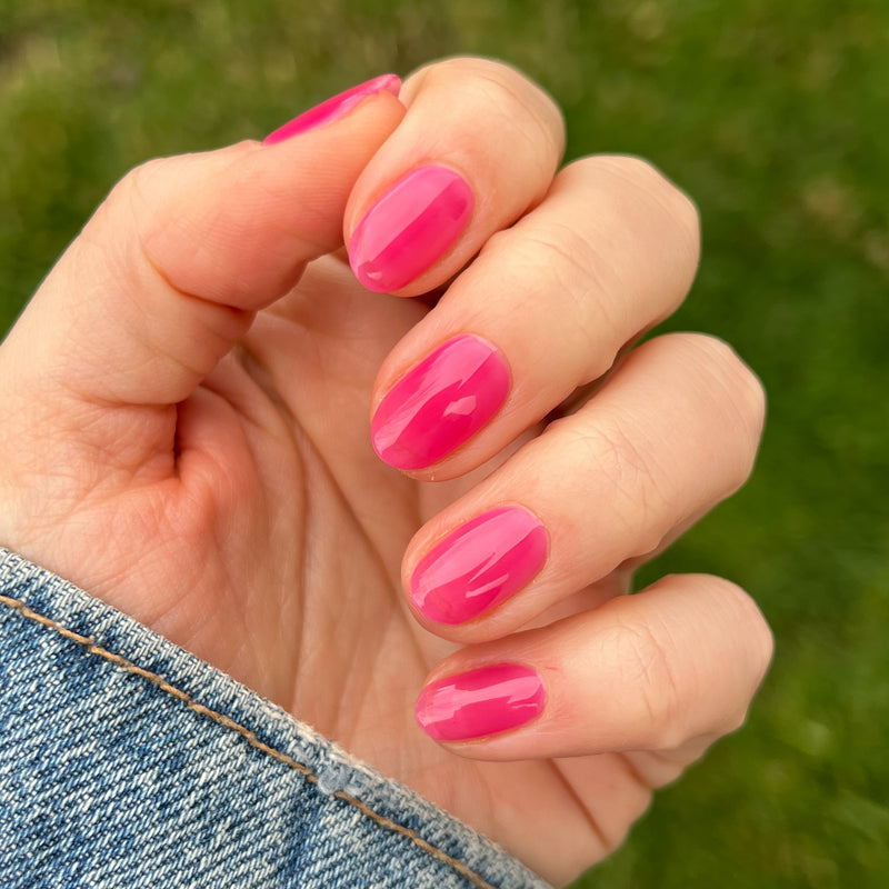 picture of Strawberries Are in Season Right Now