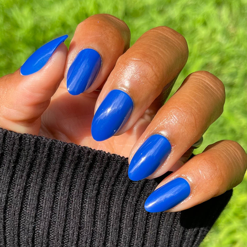 picture of Blueberry Muffin | Almond | Medium