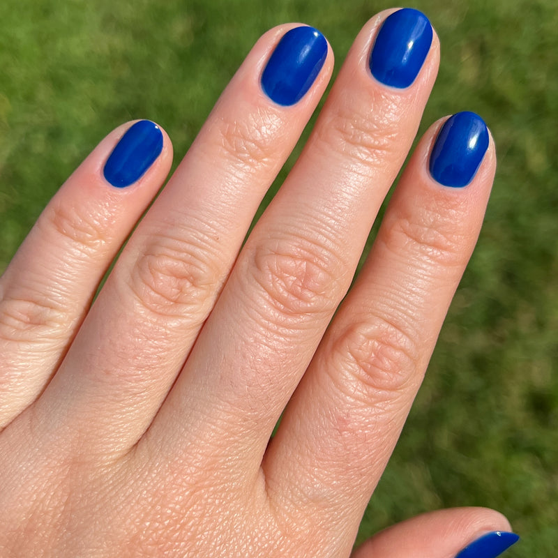 picture of Blueberry Muffin