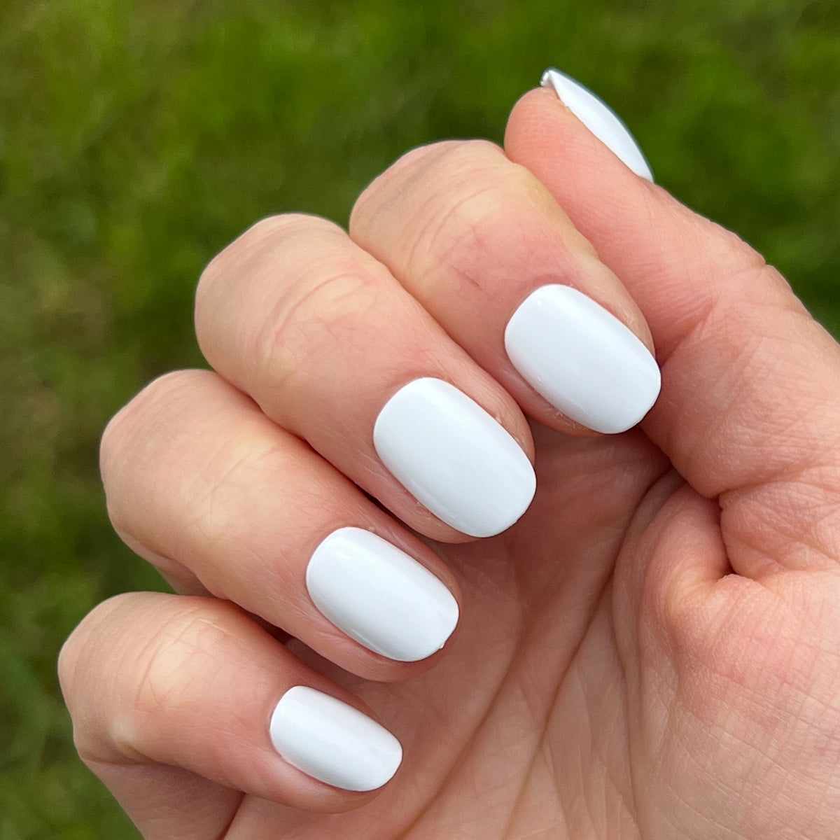 Timeless Neutrals Set – Olive and June