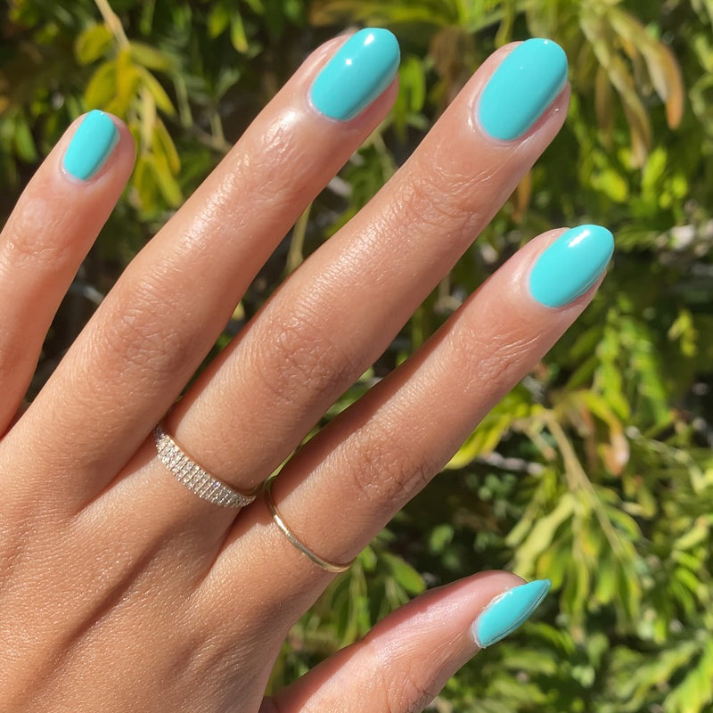 Parakeet - Quick Dry Polish
