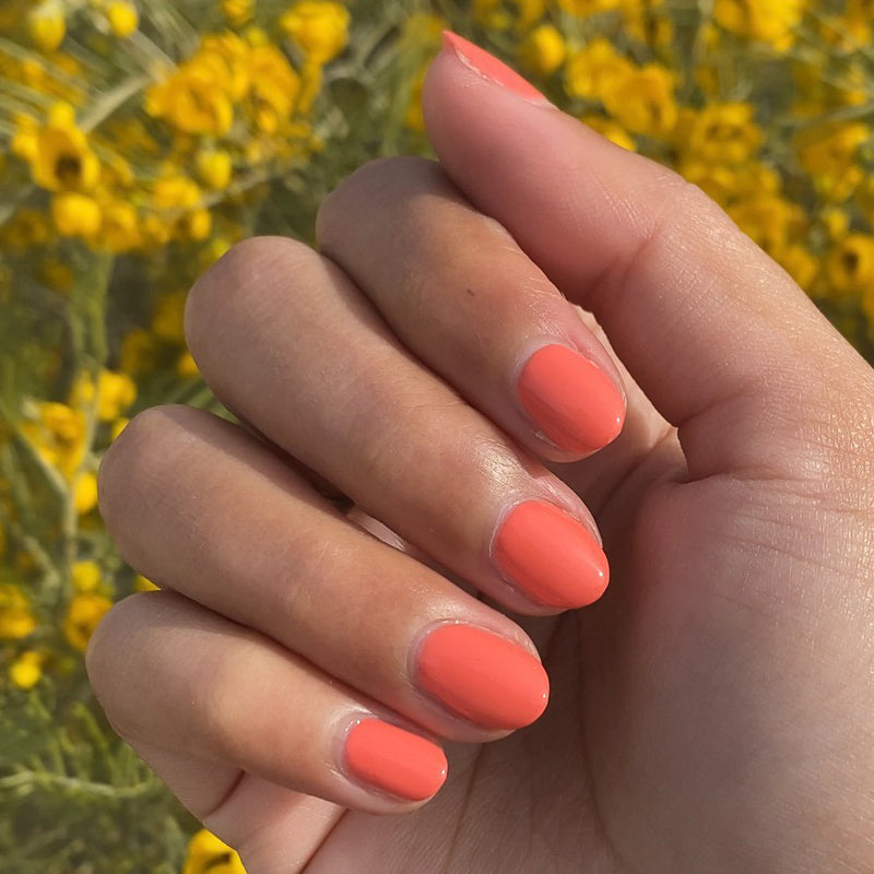 picture of Carrot Juice