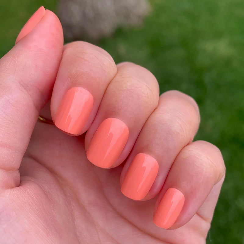 Wild & Free | Squoval | Extra Short second image