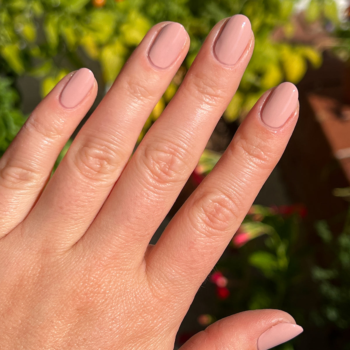 Hand displaying neatly polished nails in Poodle for a natural and refined at home manicure look