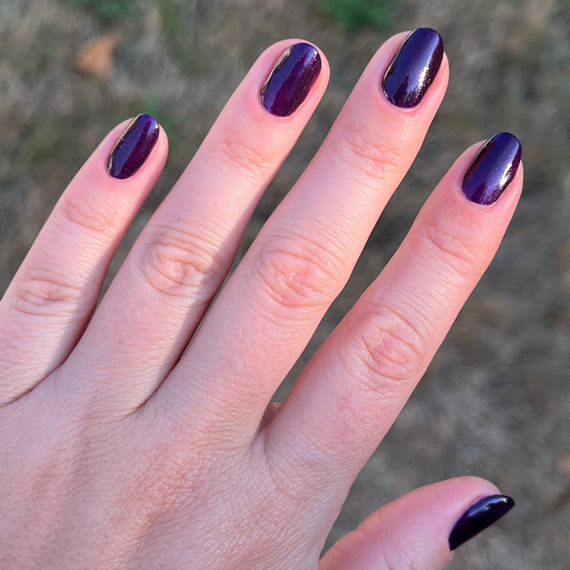 picture of Enchanted