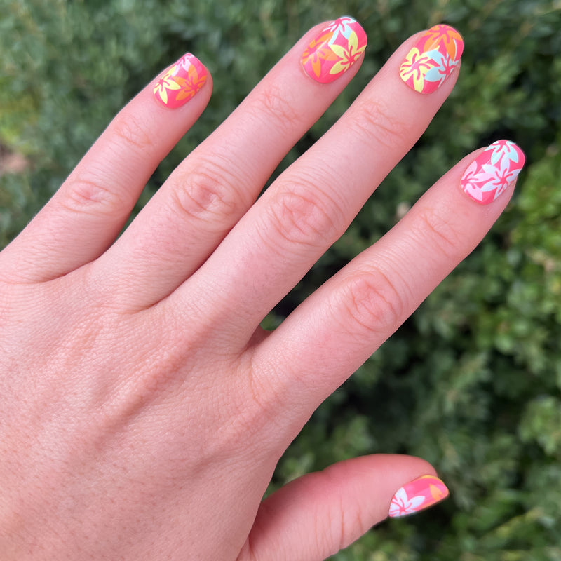 picture of Bikini Bottoms | Squoval | Extra Short