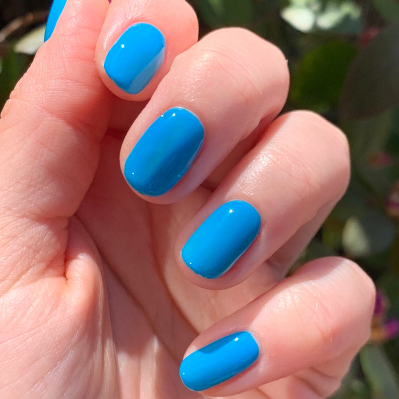 picture of Blueberry Smash